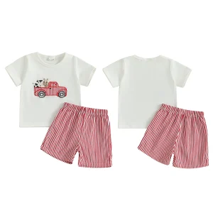 Toddler Boys Casual Summer Outfits